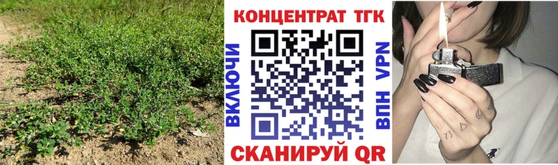 как найти   Шагонар  Дистиллят ТГК гашишное масло 